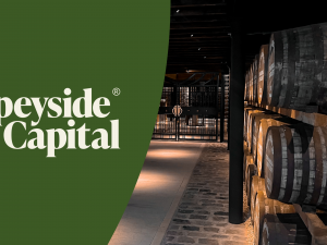 £100,000 Balanced Portfolio